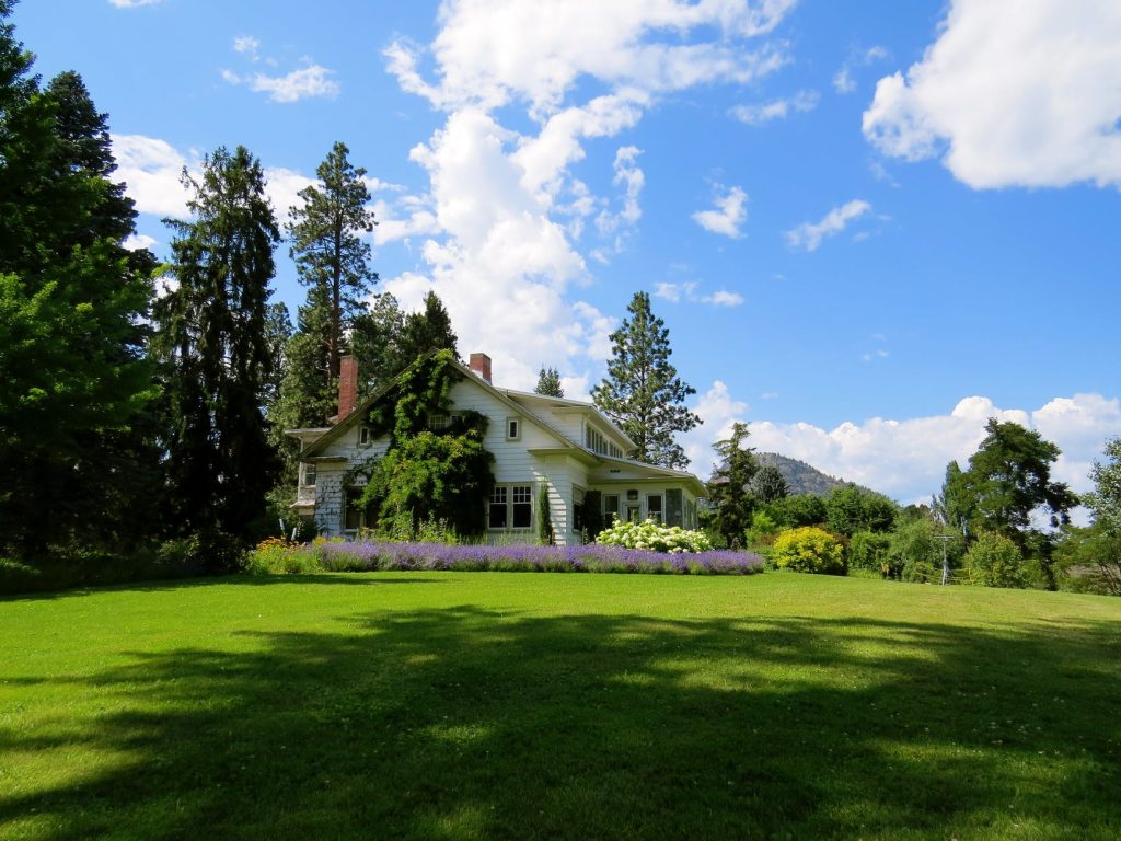 A far distance of a home front lawn