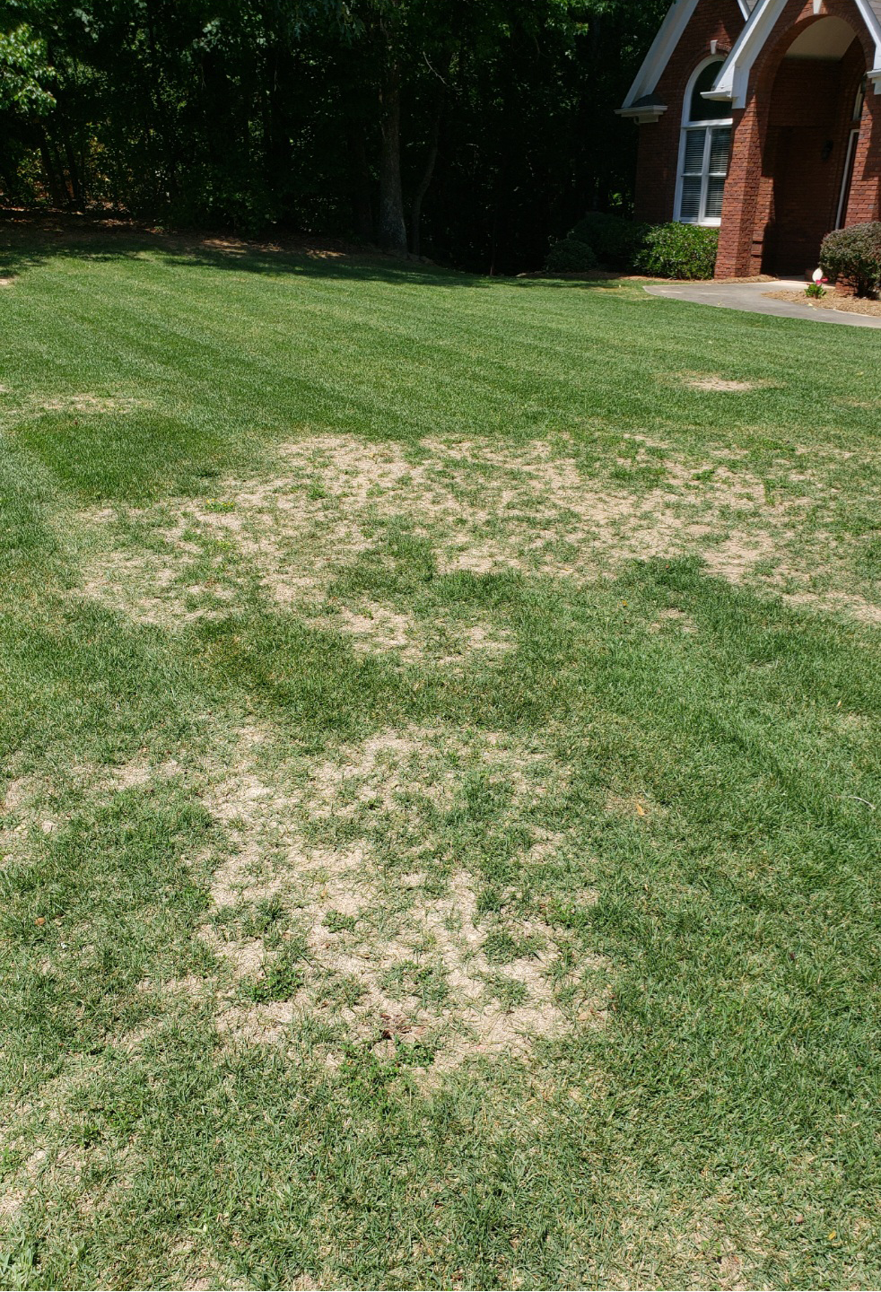 patch of dying grass in the front yard of a home