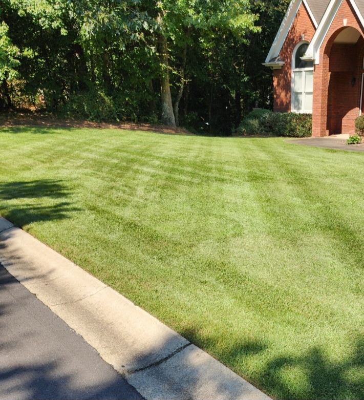 healthy lawn freshly cut with tree foliage in background